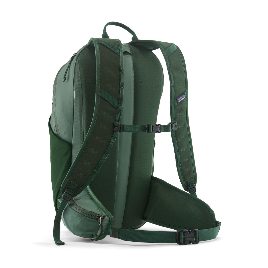 Terravia Pack 22L in Canopy Green — back panel with padded shoulder straps, sternum strap and hip belt
